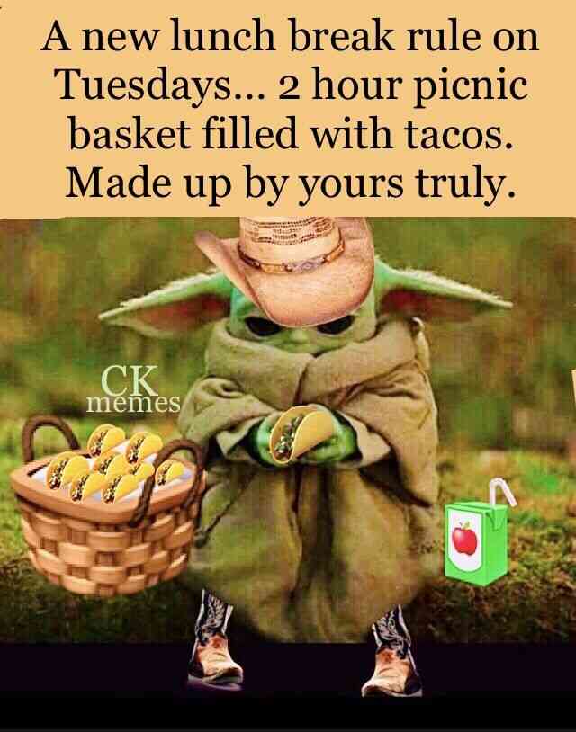 taco tuesday captions