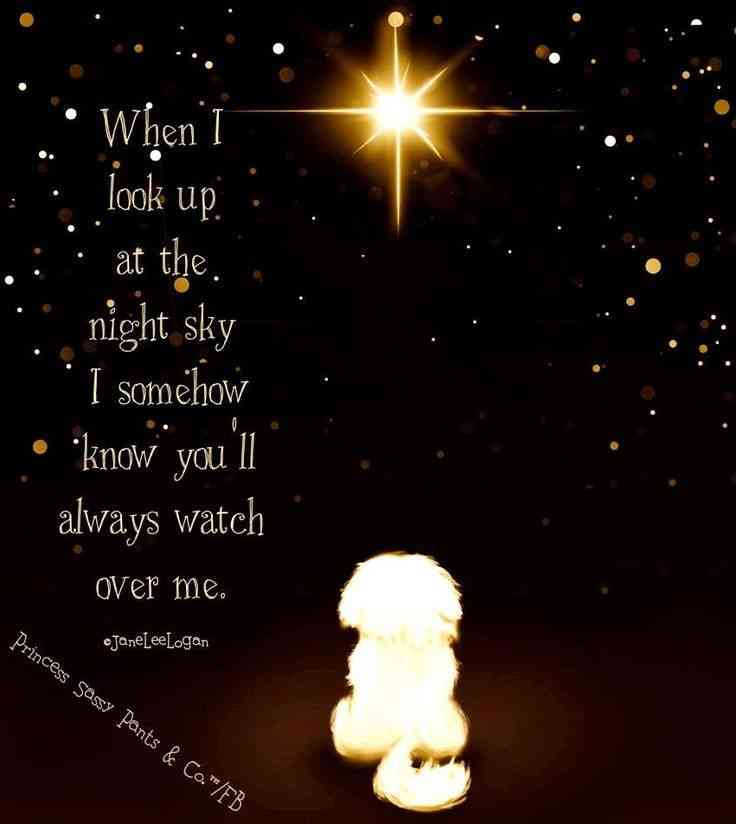 angels watching over you quotes