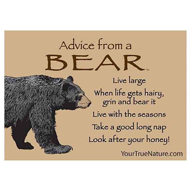bear quotes