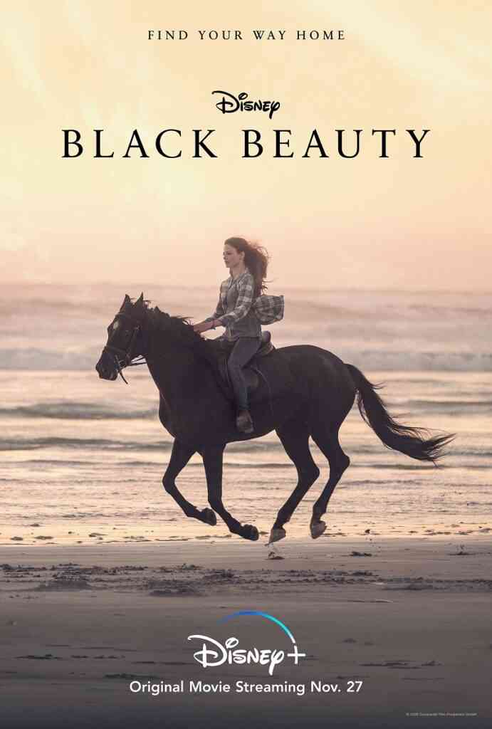 black beauty quotes