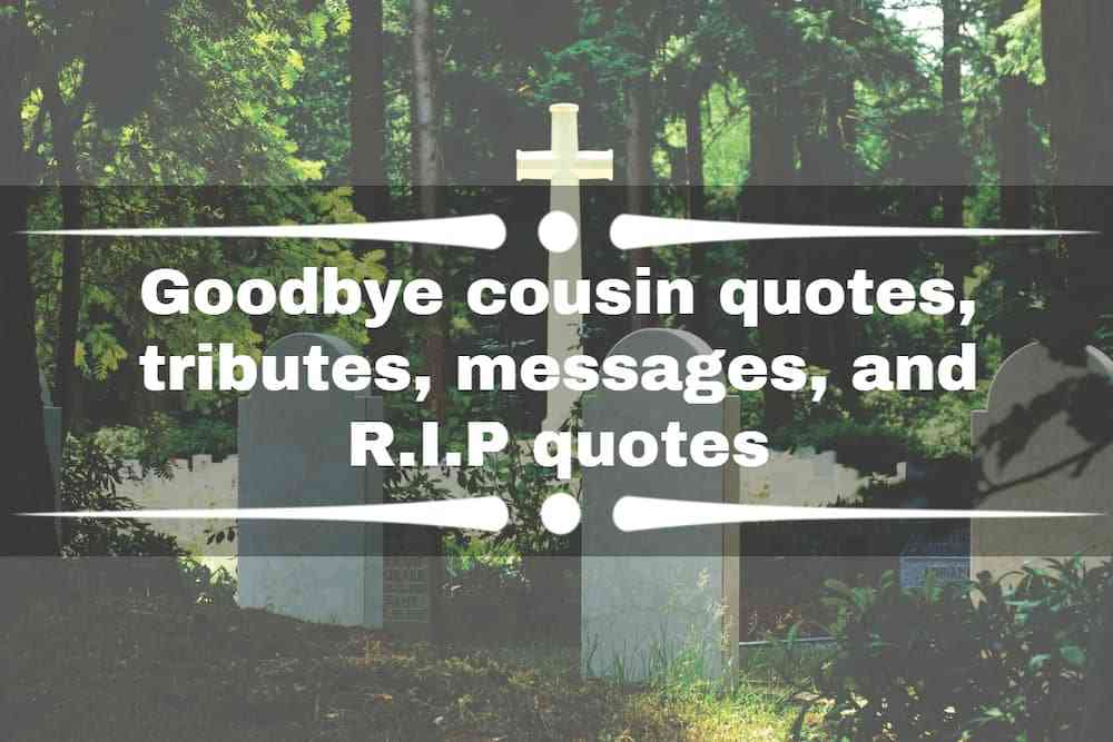 Quotes on the Death of a Cousin