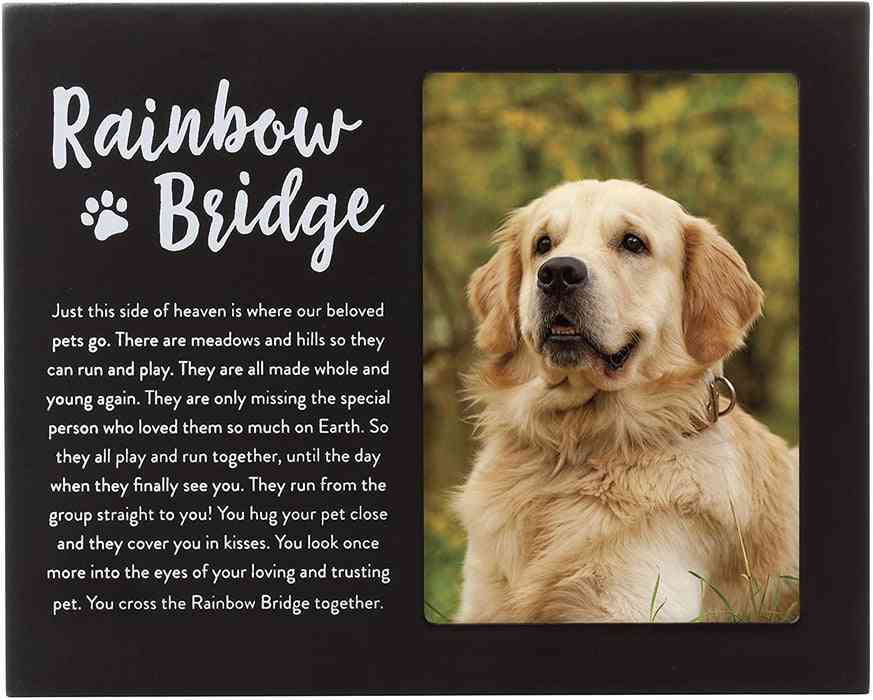 final goodbye dog death quotes rainbow bridge