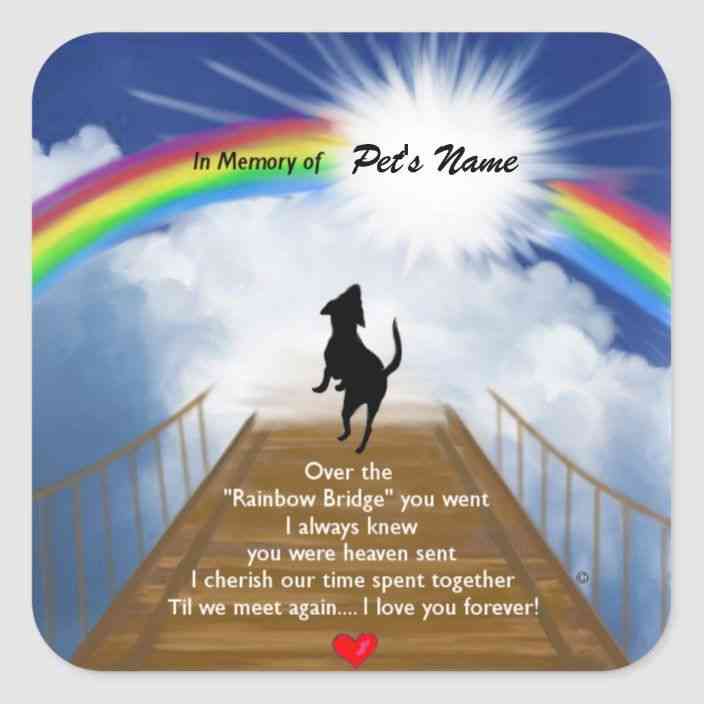 final goodbye dog death quotes rainbow bridge