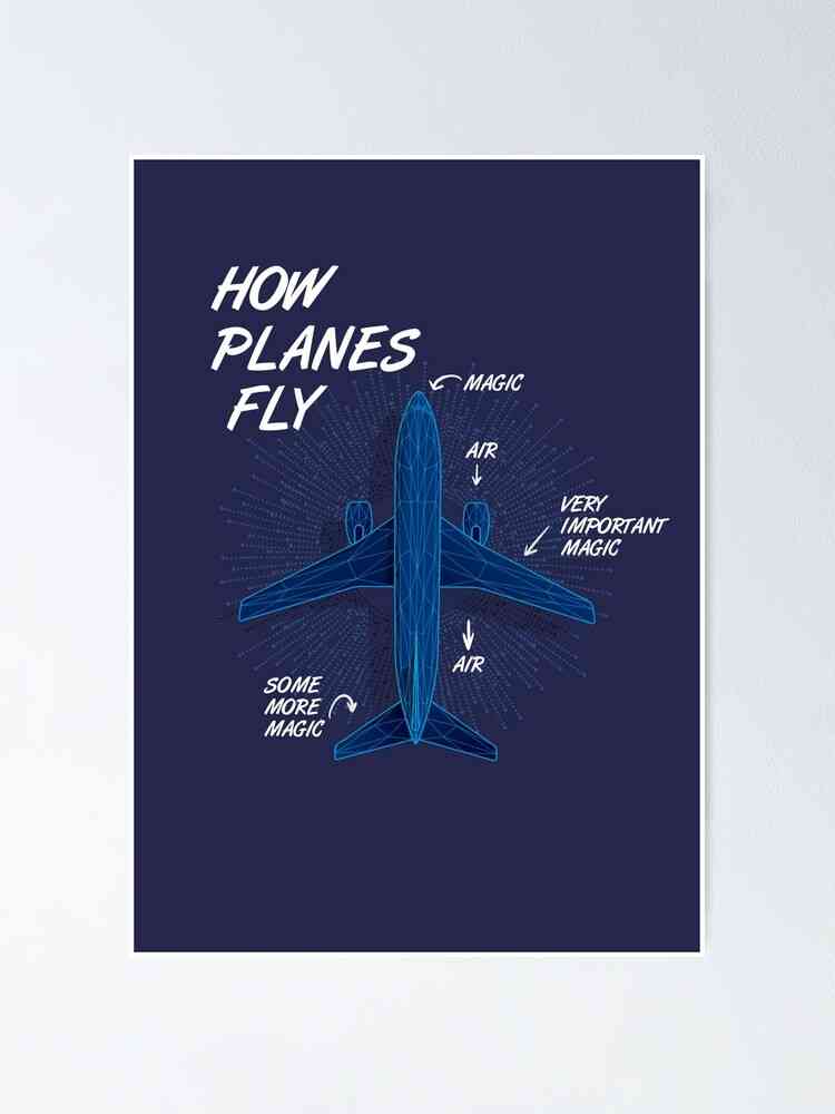 funny fly quotes