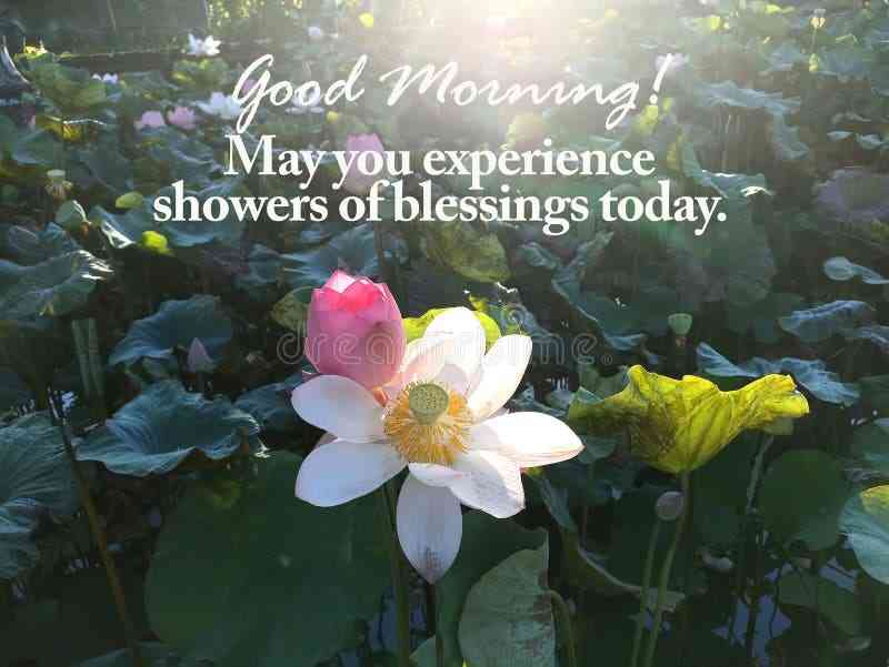 good morning blessed quotes