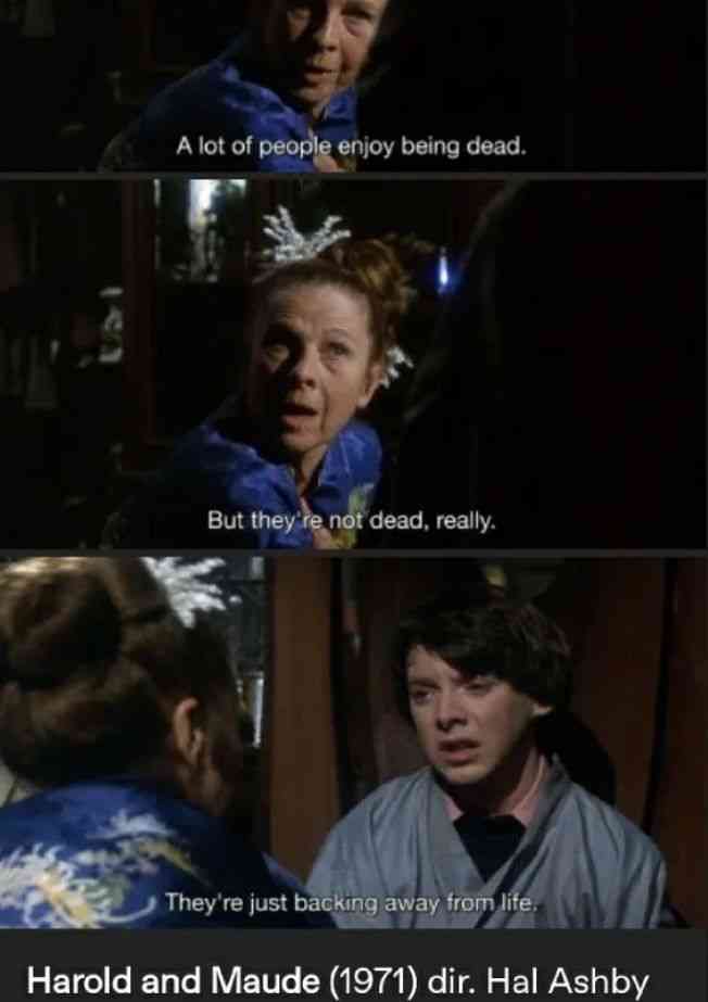 harold and maude quotes