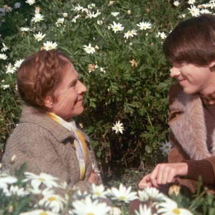 harold and maude quotes