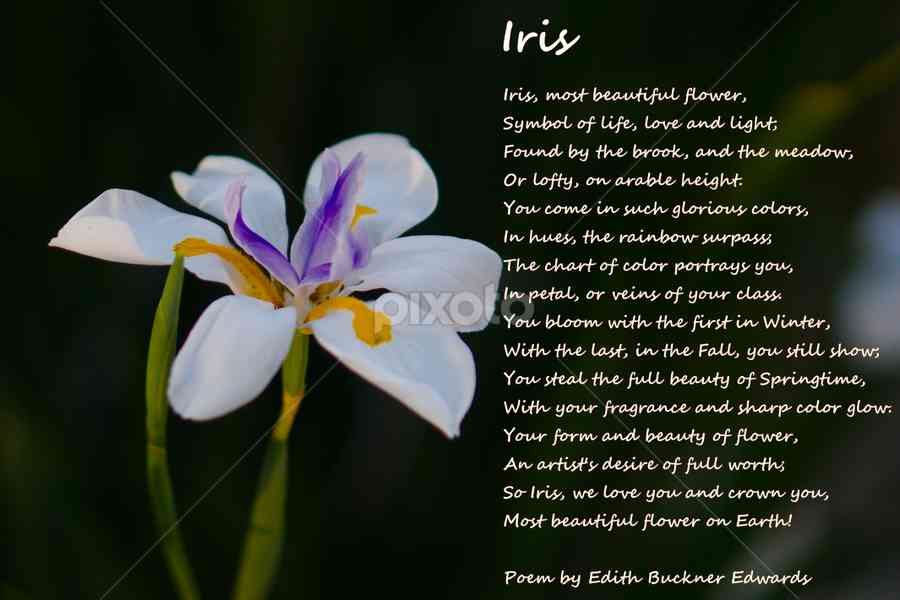 iris quotes