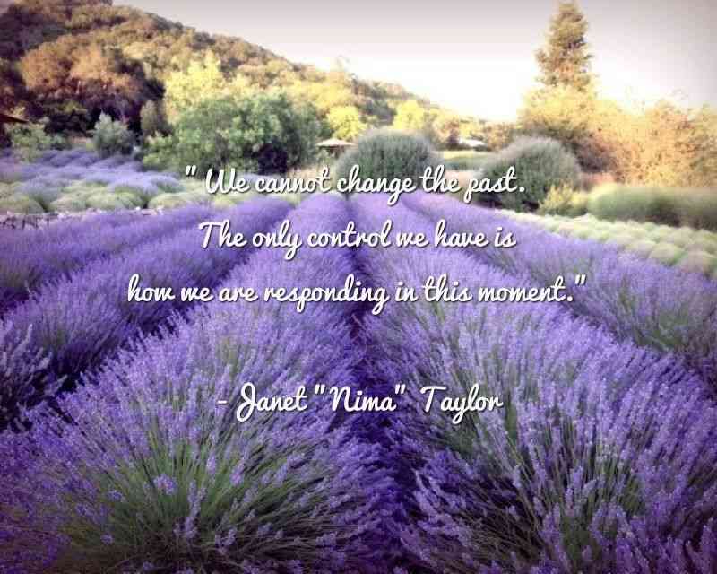 lavender quote