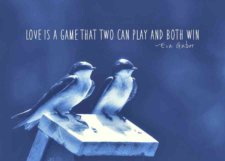 love birds quotes
