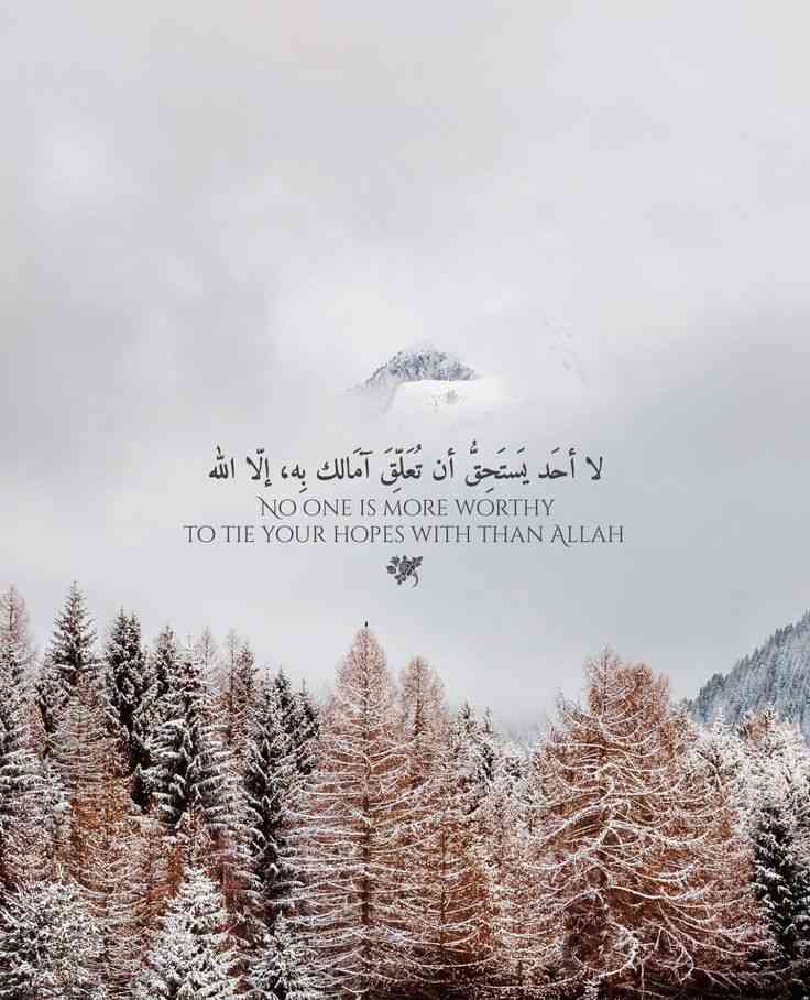 love quotes in quran