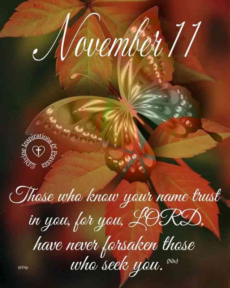 november blessings quotes