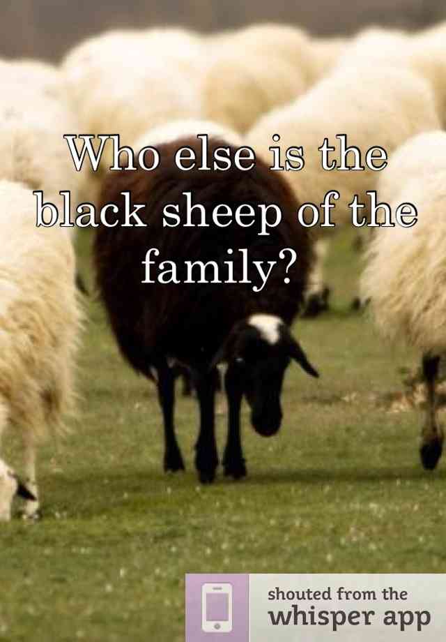 quotes about black sheep of the family