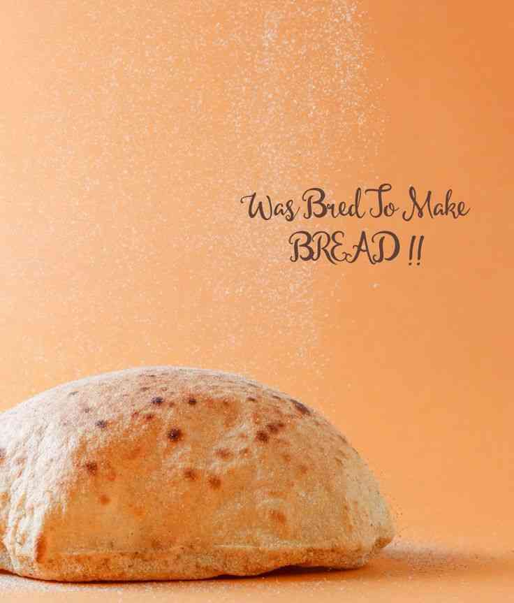 quotes about bread