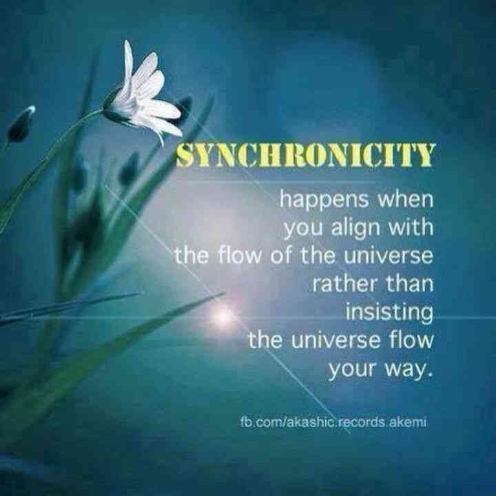 quotes about synchronicity
