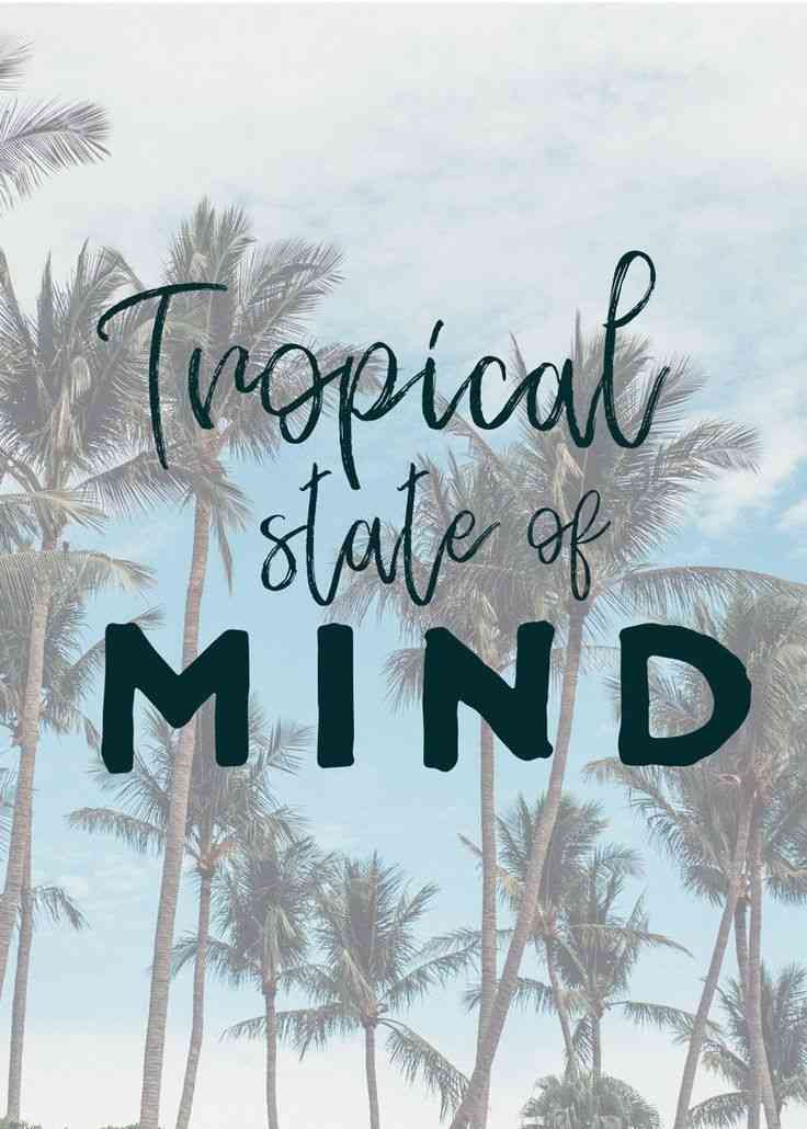 quotes about the tropics