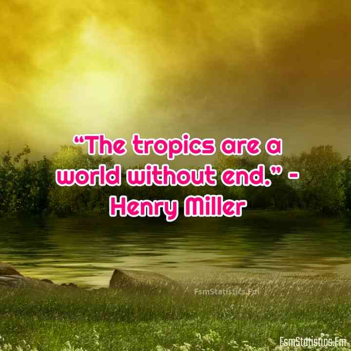 quotes about the tropics