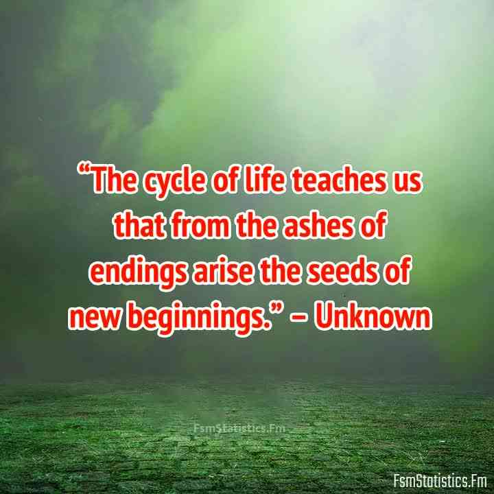 quotes cycle of life