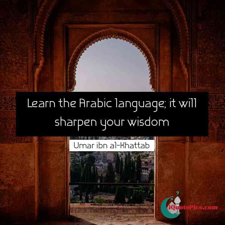 quotes in arabic language