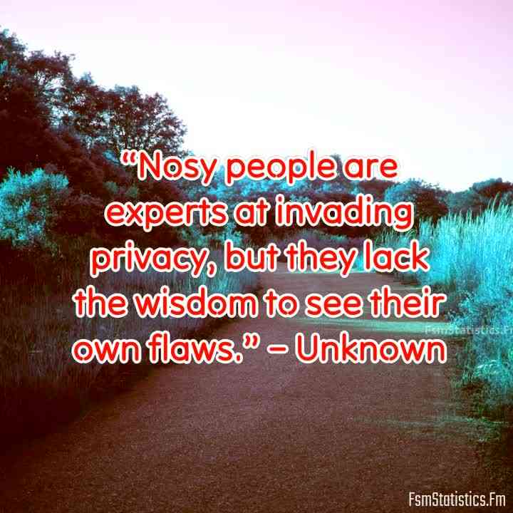 quotes on nosy people