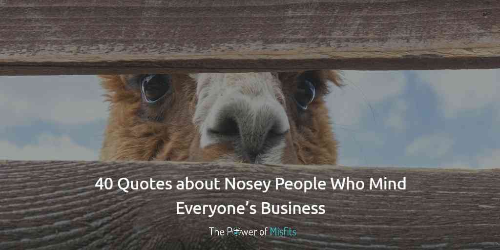 quotes on nosy people