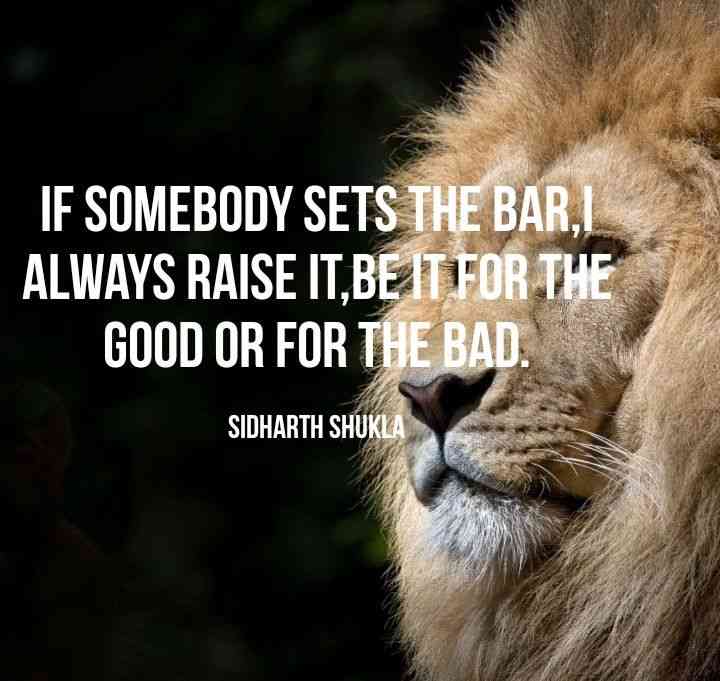raise the bar quotes