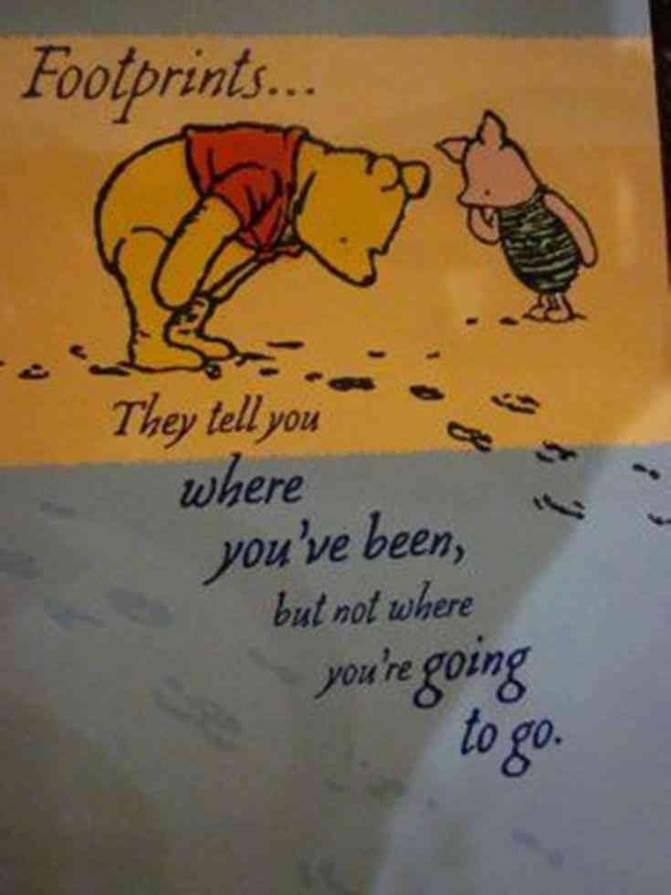 tao of pooh quotes