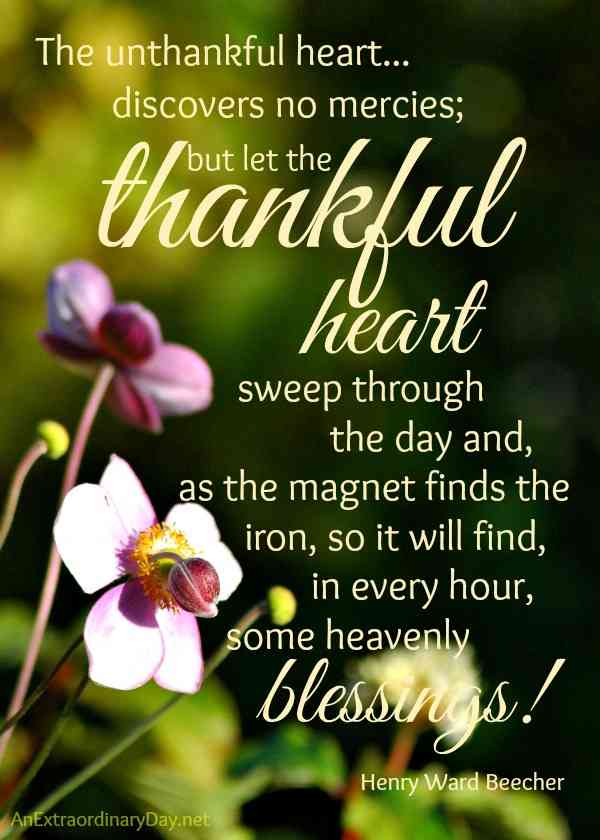 thankful sunday blessings quotes