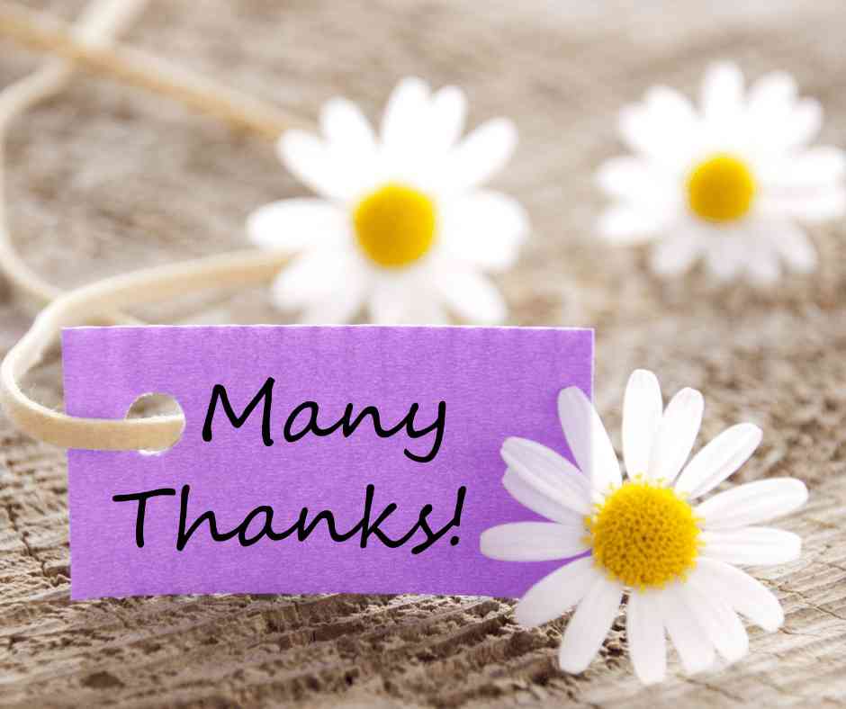 thanking quotes for family