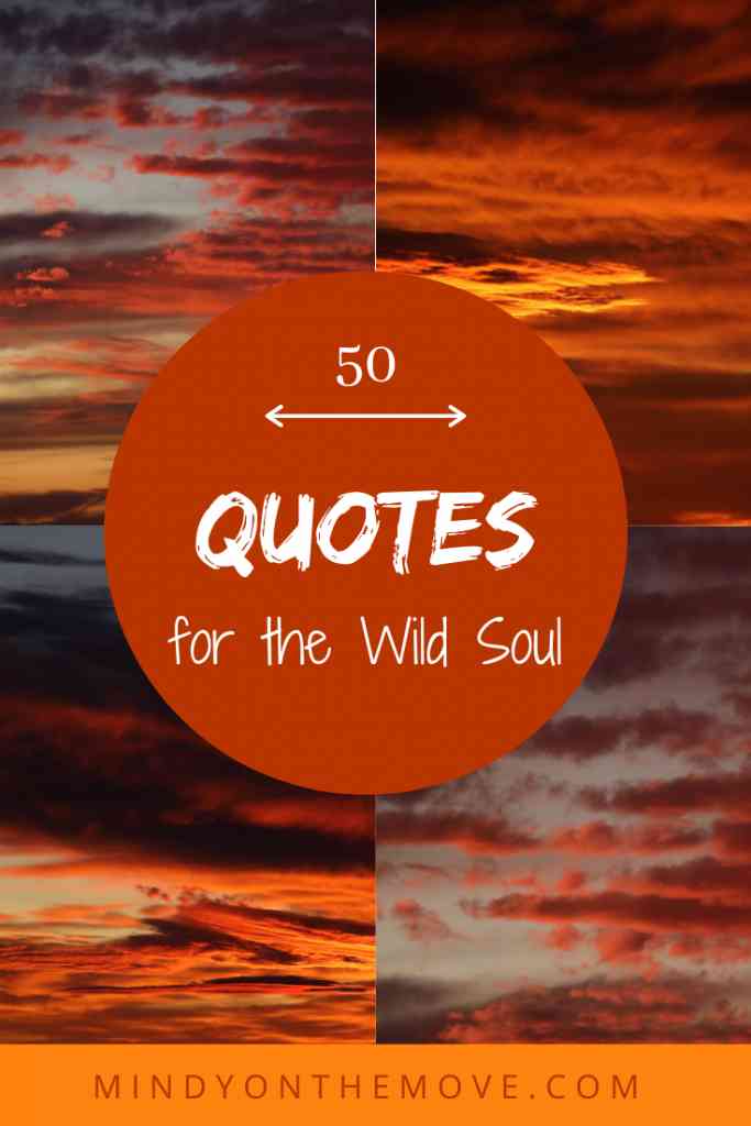 wild soul quotes