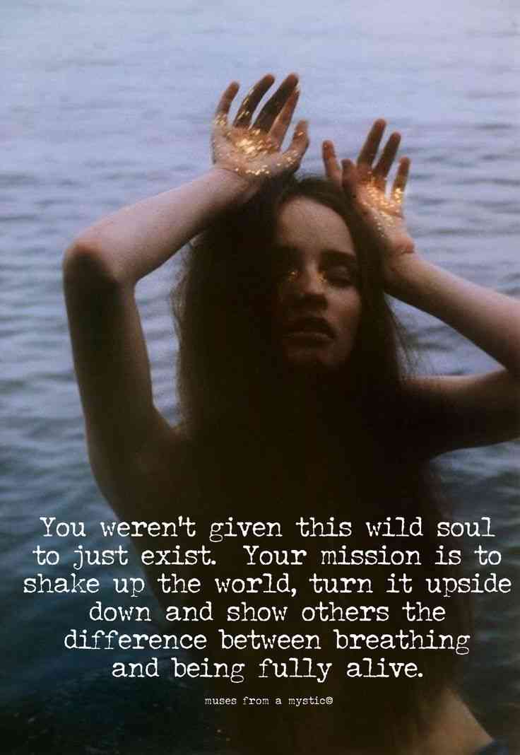 wild soul quotes